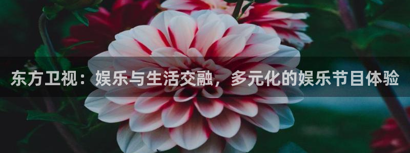 恩佐娱乐：东方卫视：娱乐与生活交融，多元化的娱乐节目体验