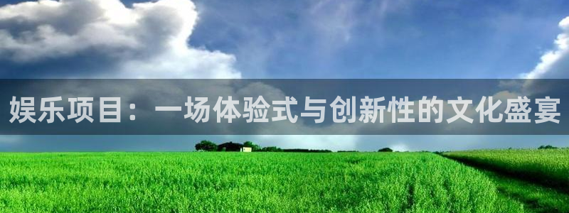 恩佐娱乐：娱乐项目：一场体验式与创新性的文化盛宴