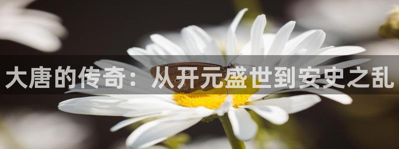 恩佐娱乐：大唐的传奇：从开元盛世到安史之乱