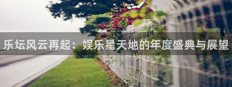 恩佐娱乐：乐坛风云再起：娱乐星天地的年度盛典与展望