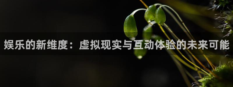 upload/20250701114914.jpg